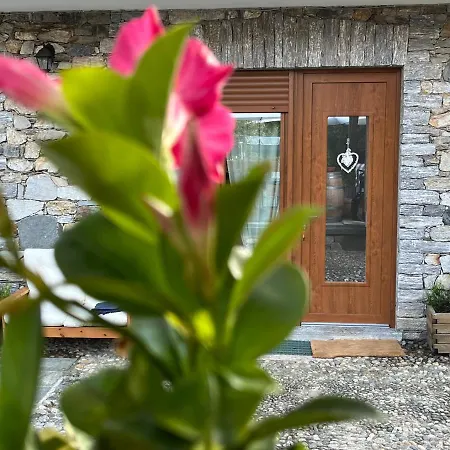 Apartmán Casa Mimosa