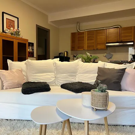 Casa Mimosa