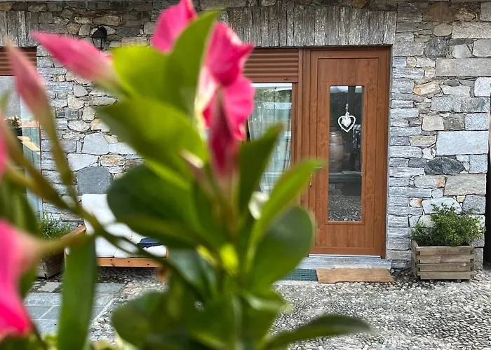 Апартаменты Casa Mimosa