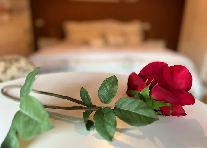 Апартаменты Casa Mimosa